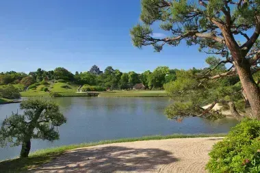 View overlooking the large garden pond
