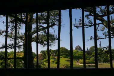 View of the garden from inside a out building 
