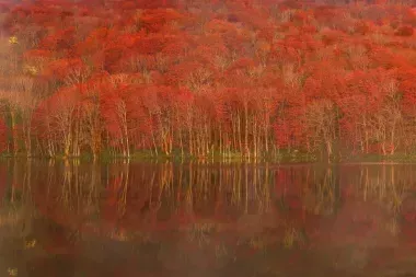 Lac Towada, ancien lac volcanique, préfecture d'Aomori
