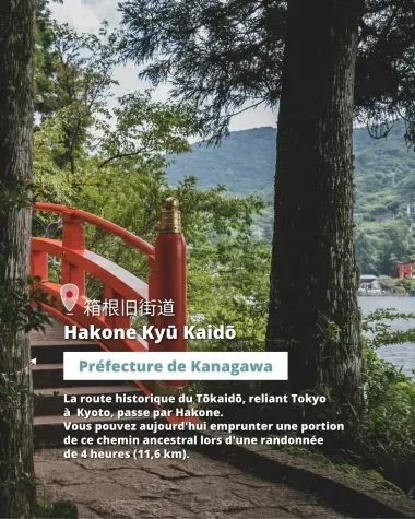 Randonnée Hakone Kyu Kaido