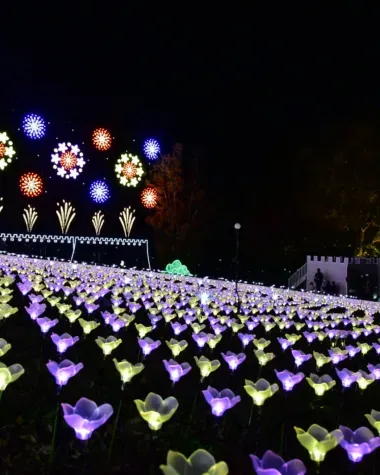 Fleurs illuminées à Ashikaga