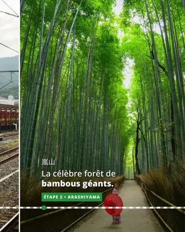 Arashiyama, la célèbre forêt de bambous géants