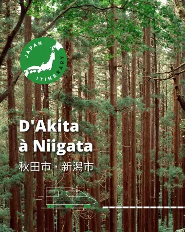D'Akita à Niigata