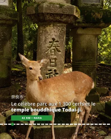 Nara, abritant le célèbre parc aux 1 300 cerfs et le temple bouddhique Todai-ji