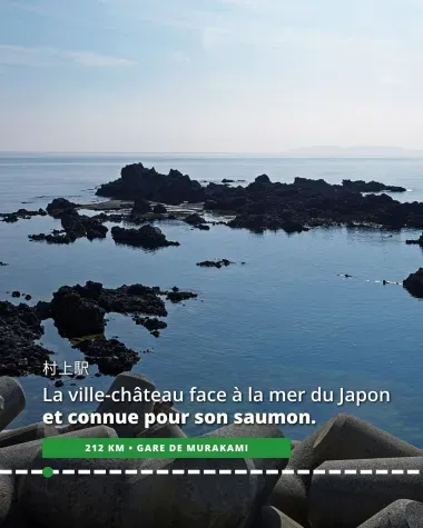 Murakami, ville-château face à la mer du Japon et connue pour son saumon
