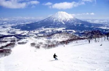 Skifahren in Niseko