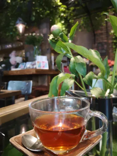 Pause thé à Aoyama Flower Market Tea House