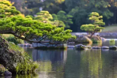 Jardin japonais de Suizenji à Kumamoto, au Japon sur l'île de Kyushu