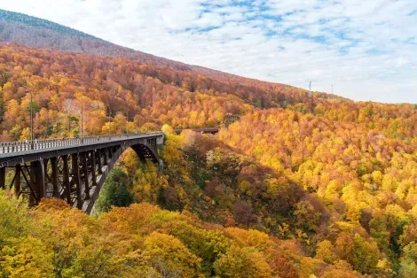 Puente entre el bosque durante la temporada de otoño, prefectura de Aomori