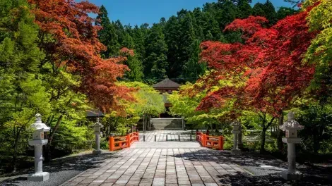 Die Natur ist überall auf dem heiligen Berg Koyasan in Japan