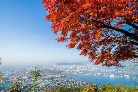 La ville de Takamatsu, au bord de la mer intérieure face à l'île de Naoshima, mérite une visite