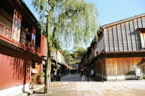 Das Geisha-Viertel von Kanazawa lädt Sie zu einem Spaziergang zwischen den Gassen und alten Gebäuden ein.