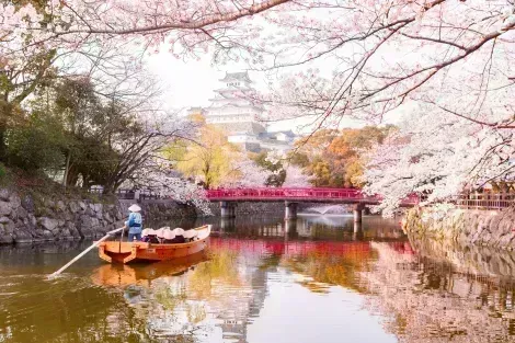 Château de Himeji, site du patrimoine mondial, sous les cerisiers en fleurs