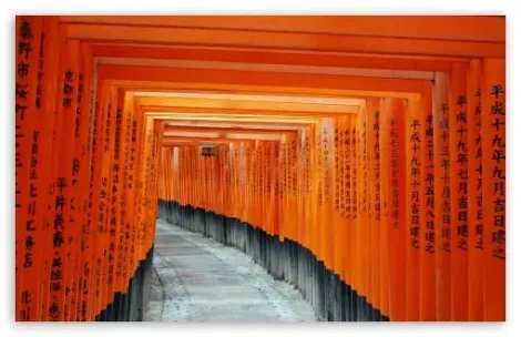 Torii di Fushimi Inari Taisha