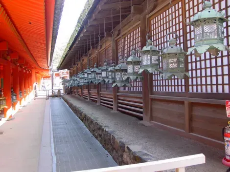 Le lanterne del Kasuga Taisha