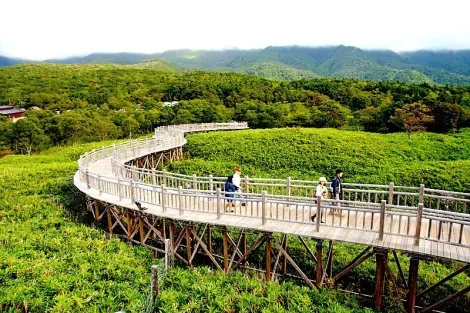 En el sur, el parque de Shiretoko está adaptado para un turismo "a la japonesa", tratando de reducir la huella del turismo de masas en la frágil naturaleza