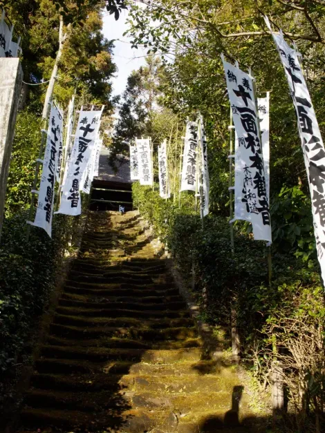 Los escalones cubiertos de musgo te llevan hasta el templo Sugimoto-dera