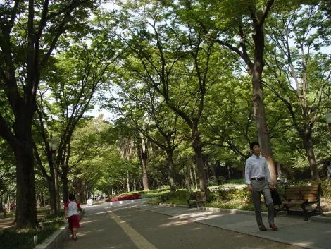 Les allées ombragées du parc Utsubo, en plein coeur d'Osaka.