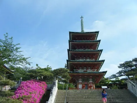 pagode-kosanji