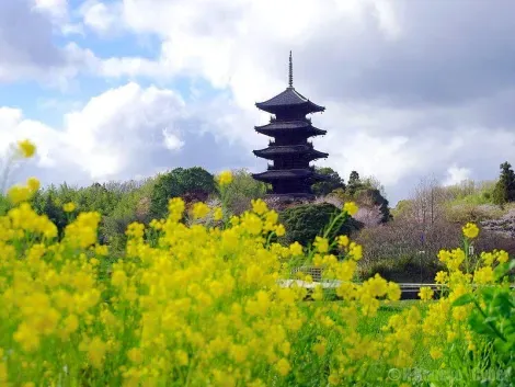 La pagoda de Bitchū Kokubun-ji