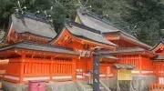 Japan Visitor - nachi-taisha-2017-1.jpg