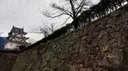 Japan Visitor - uwajima-castle-4.jpg
