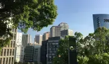 Trees in front of high buildings in Akasaka in Tokyo 