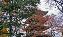 A côté du musée national de Tokyo, à Ueno, le temple bouddhique Kanei-ji recèle les sépultures de six shoguns. 
