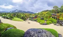 Jardín de rocas y pino en el Museo de Arte Adachi.