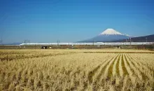 Admirez le Mont Fuji depuis le Shinkansen