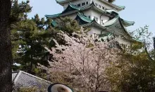 Le château de Nagoya au printemps