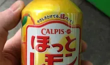 Thé chaud des machines à boissons japonaises