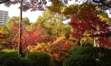 Jardin Sorakuen