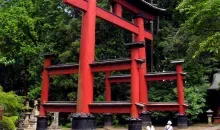 Le grand torii du sanctuaire