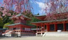 Le temple Enryaku-ji ,Ôtsu