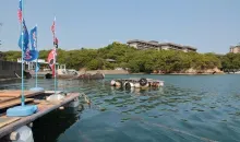 Le port de Kashikojima