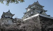Le château d'Iga_Ueno