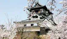 Japan Visitor - inuyama-castle-2017-1.jpg