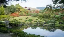 Japan Visitor - isuien-garden-7.jpg