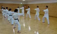 Japan Visitor - karatekaikan1.jpg