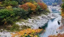 Japan Visitor - oboke-gorge-2017-9.jpg