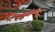Japan Visitor - tenryuji-temple-454.jpg