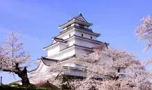 Japan Visitor - tsuruga-castle-1.jpg