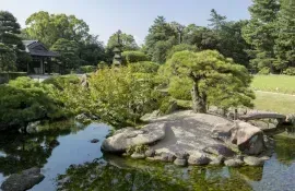 El jardín Korakuen, uno de los tres jardines japoneses más bellos, junto con el castillo de Okayama