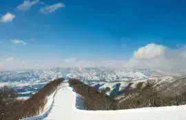 Piste de ski dans la station de Nozawa Onsen, région de Nagano, dans les Alpes Japonaises