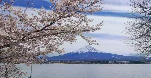 Vue sur le lac Kawaguchiko et sur le Fuji-san