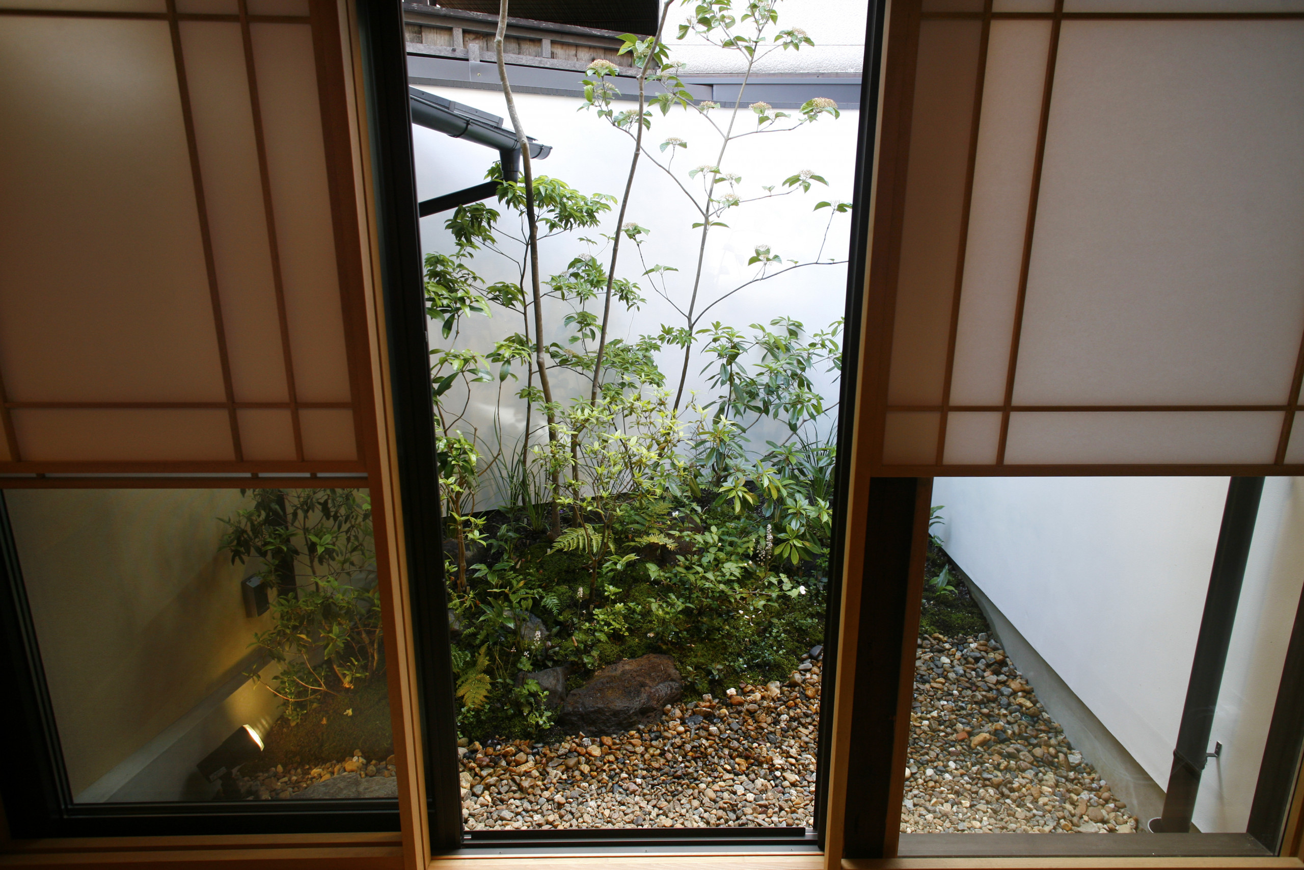Yasaka20