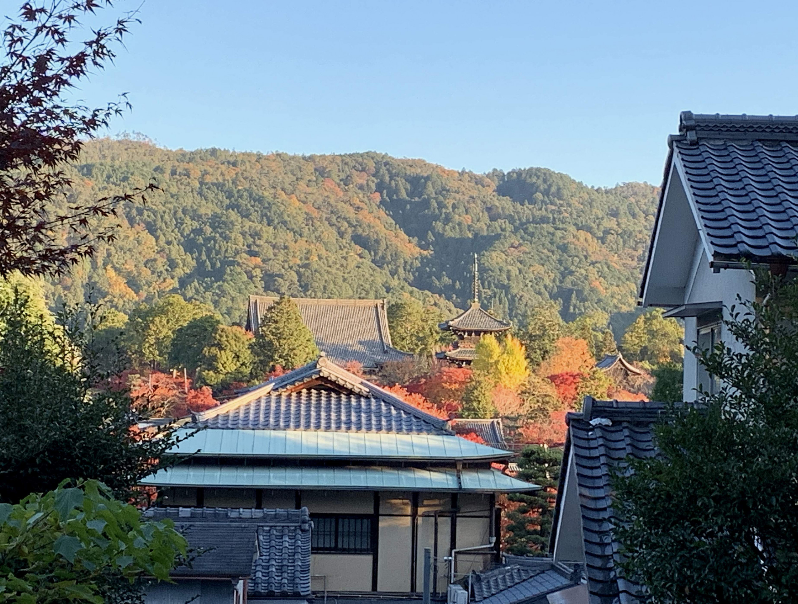 View from Munetada Jinja