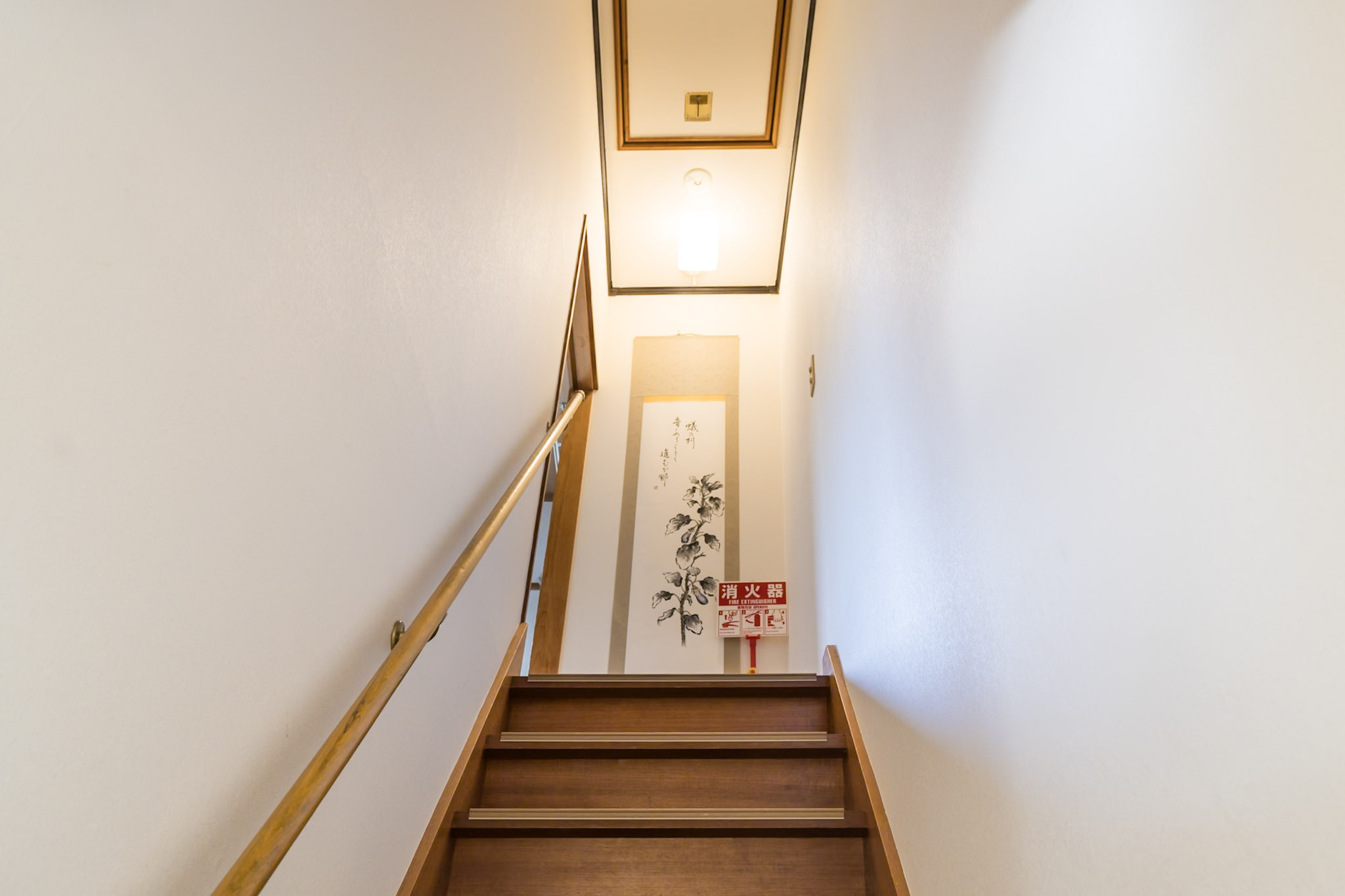 7-_DSC5104