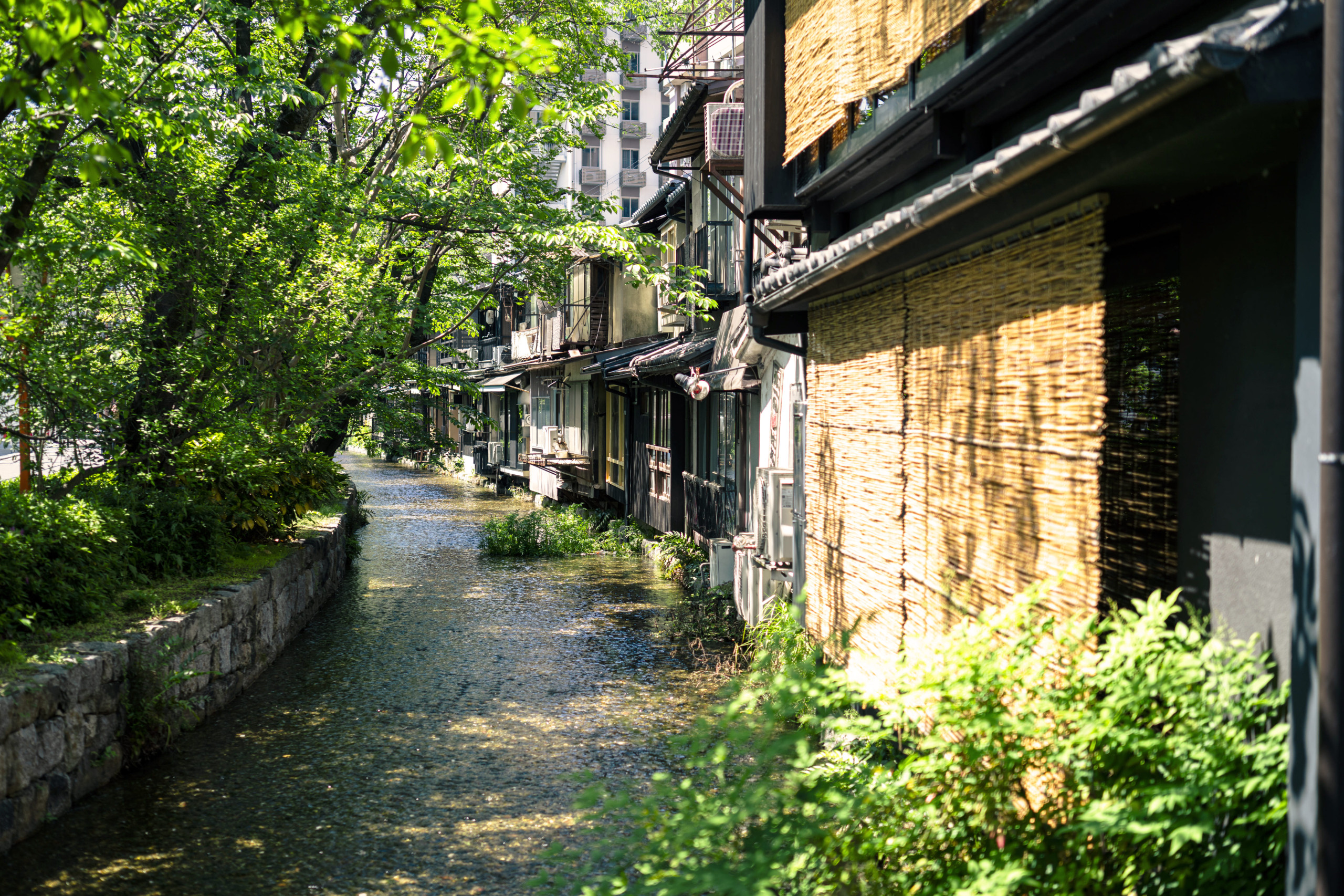 Takasegawa Exterior